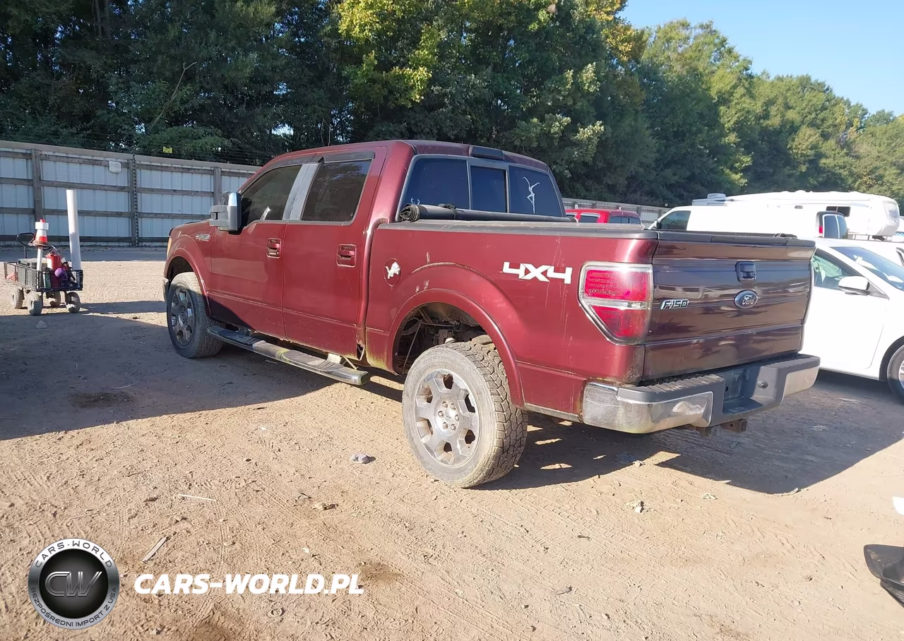 2009 Ford F-150 Fx4-King Ranch-Lariat-Platinum-Xl-Xlt VIN:1FTPW14V29FB39534 - 3