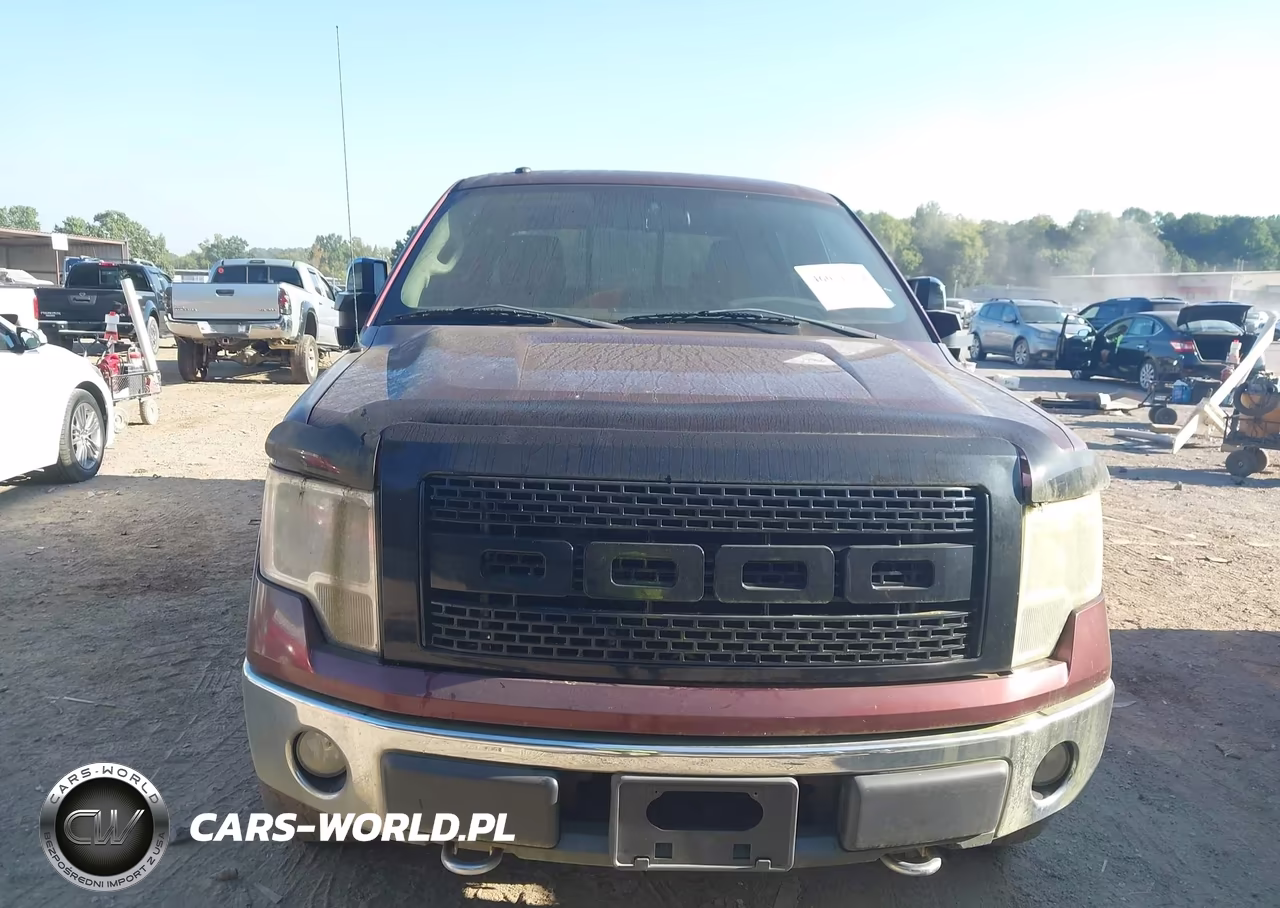 2009 Ford F-150 Fx4-King Ranch-Lariat-Platinum-Xl-Xlt VIN:1FTPW14V29FB39534 - 6