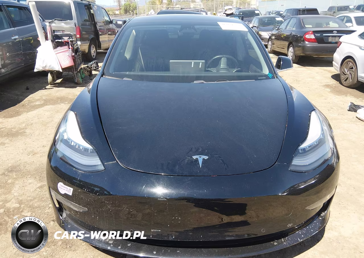 2019 Tesla Model 3 Long Range-Mid Range-Standard Range-Standard Range Plus VIN:5YJ3E1EAXKF394584 - 10