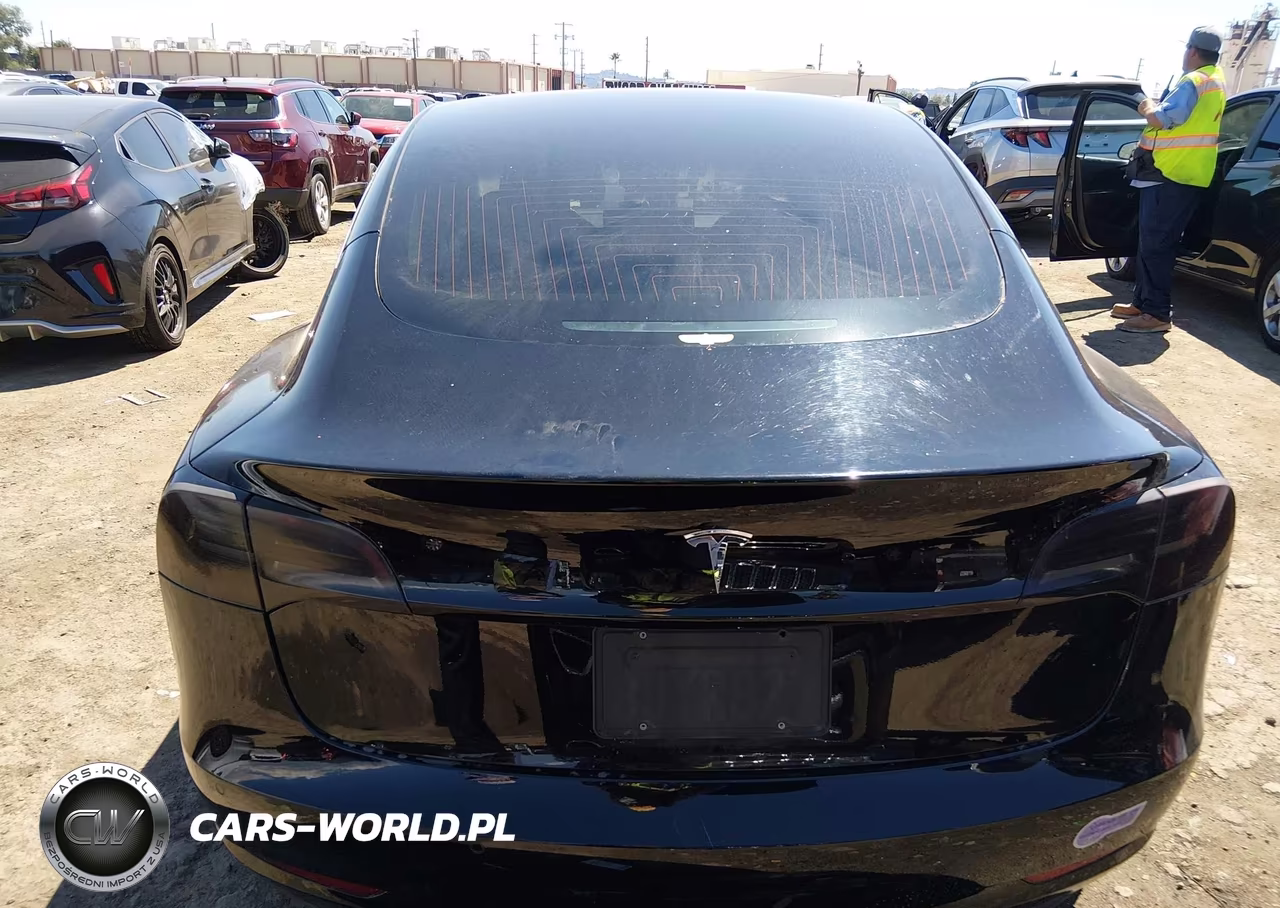 2019 Tesla Model 3 Long Range-Mid Range-Standard Range-Standard Range Plus VIN:5YJ3E1EAXKF394584 - 14