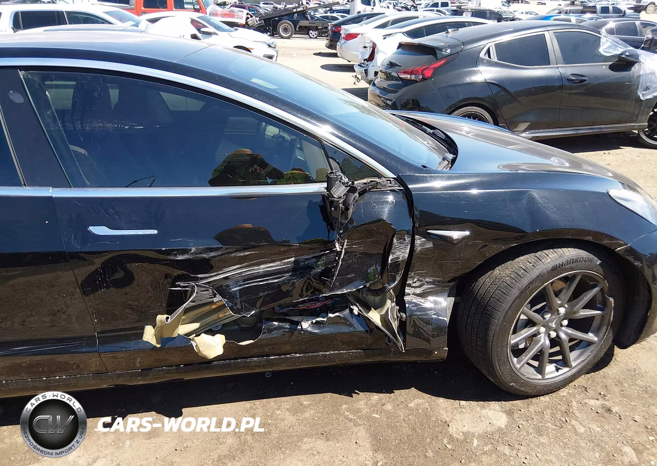 2019 Tesla Model 3 Long Range-Mid Range-Standard Range-Standard Range Plus VIN:5YJ3E1EAXKF394584 - 6