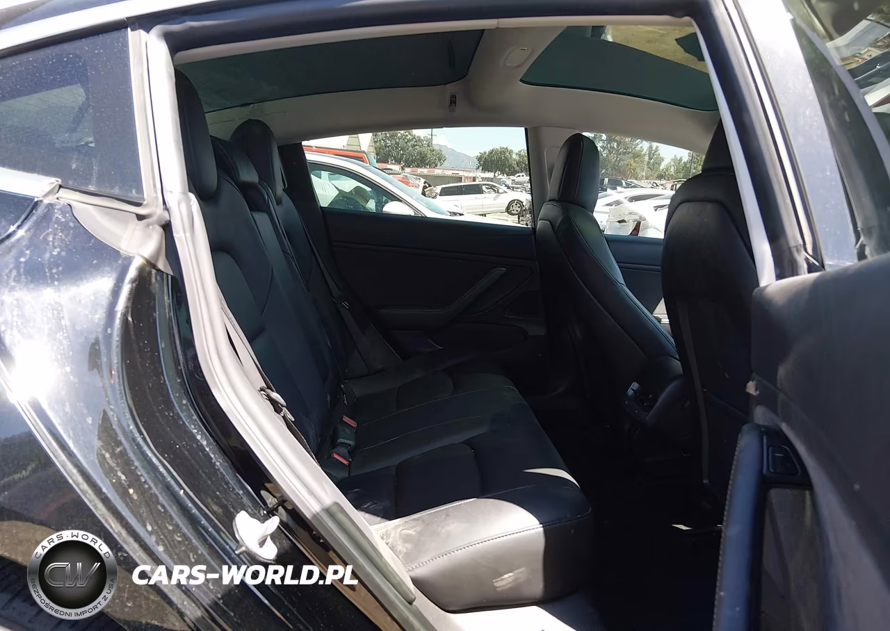 2019 Tesla Model 3 Long Range-Mid Range-Standard Range-Standard Range Plus VIN:5YJ3E1EAXKF394584 - 8