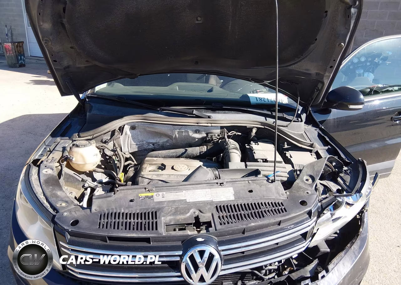 2017 Volkswagen Tiguan 2.0T-2.0T S VIN:WVGBV7AX3HK051115 - 10