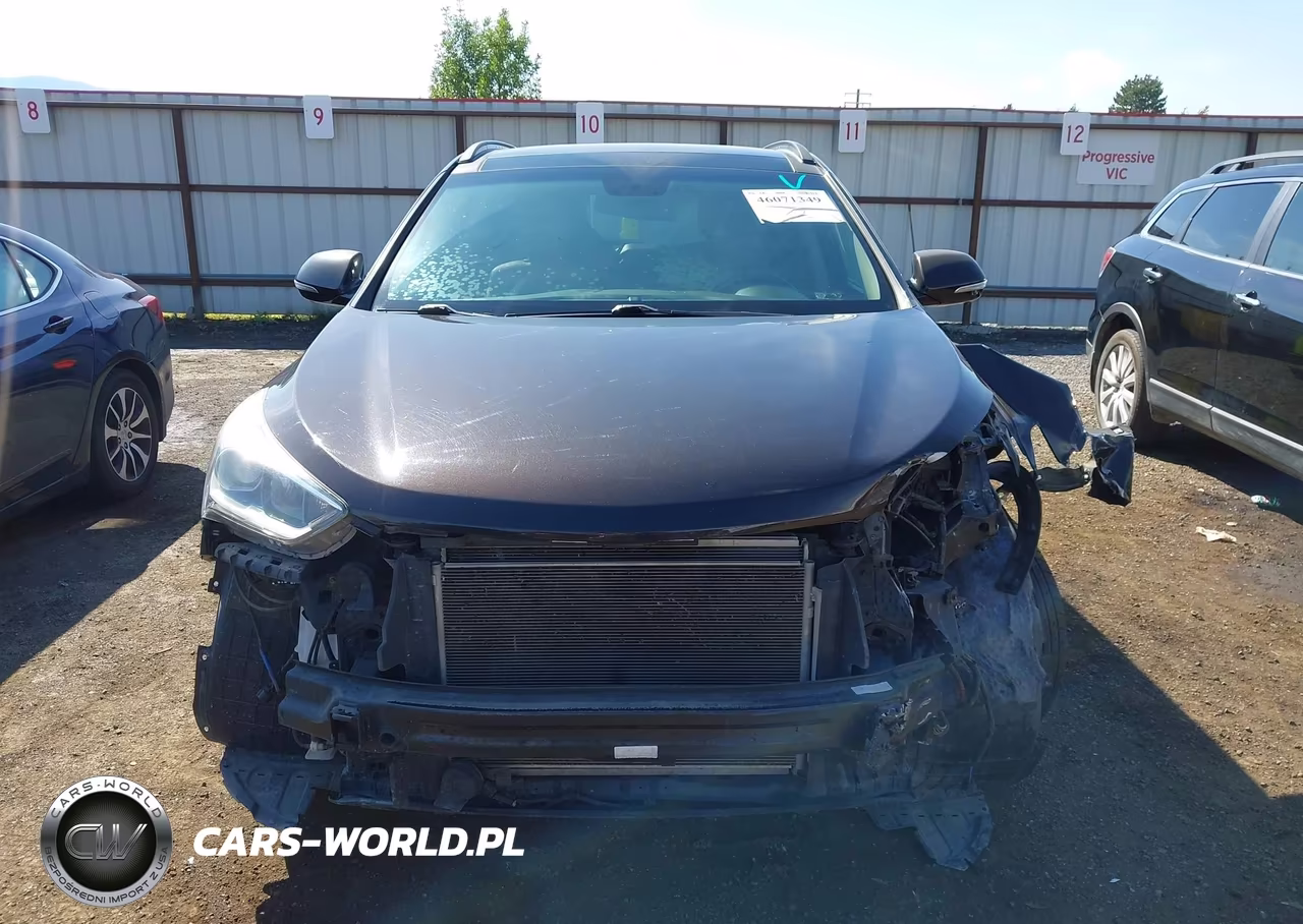 2019 Hyundai Santa Fe Xl Limited Ultimate VIN:KM8SRDHF3KU302761 - 13