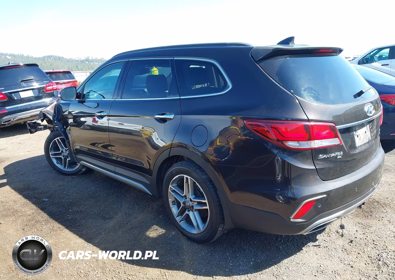 2019 Hyundai Santa Fe Xl Limited Ultimate VIN:KM8SRDHF3KU302761 - 15