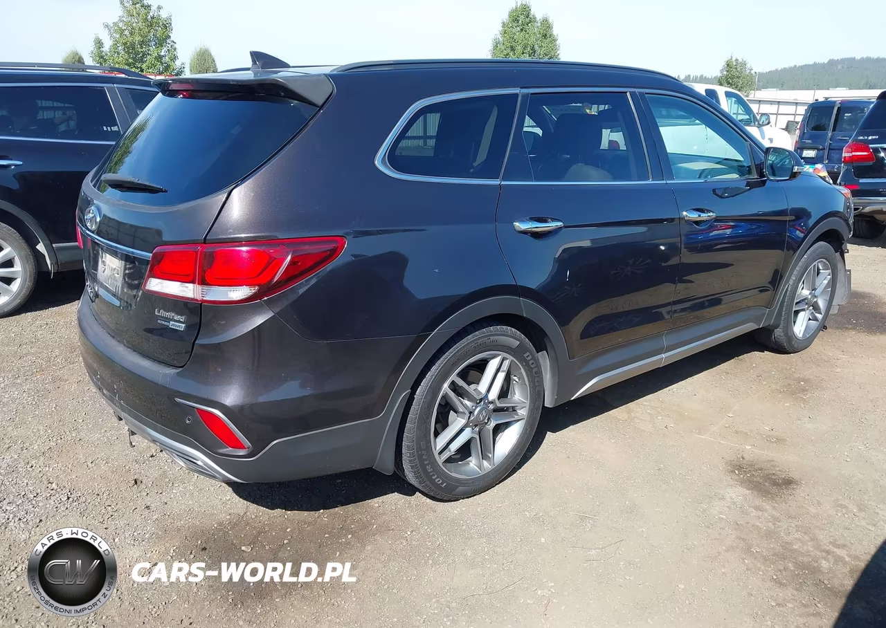 2019 Hyundai Santa Fe Xl Limited Ultimate VIN:KM8SRDHF3KU302761 - 4