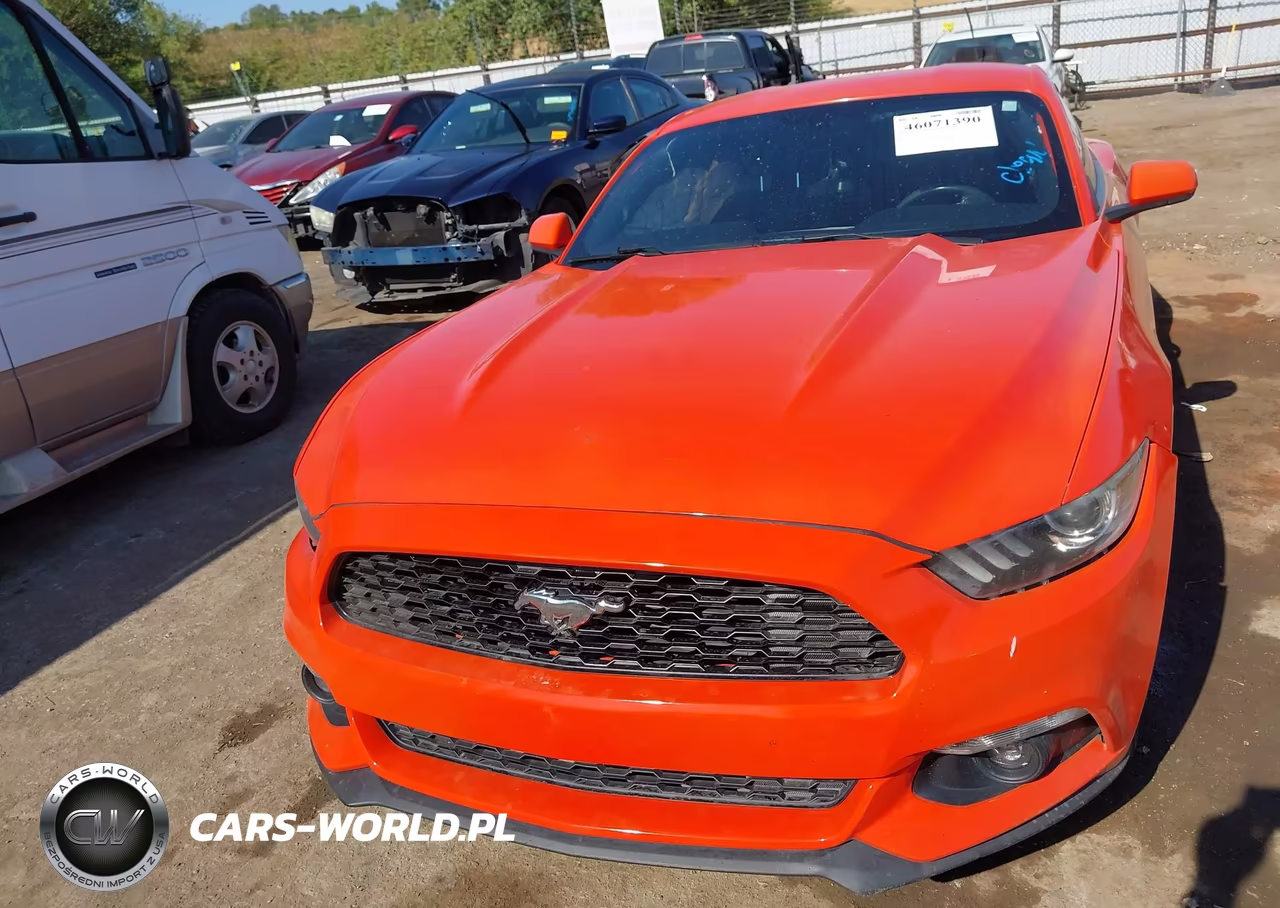 2016 Ford Mustang Ecoboost VIN:1FA6P8THXG5209108 - 12