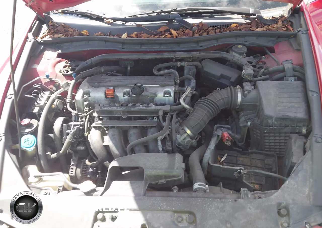 2010 Honda Accord Cpe 2.4 Ex-L-Ex-L VIN:1HGCS1B80AA016244 - 10