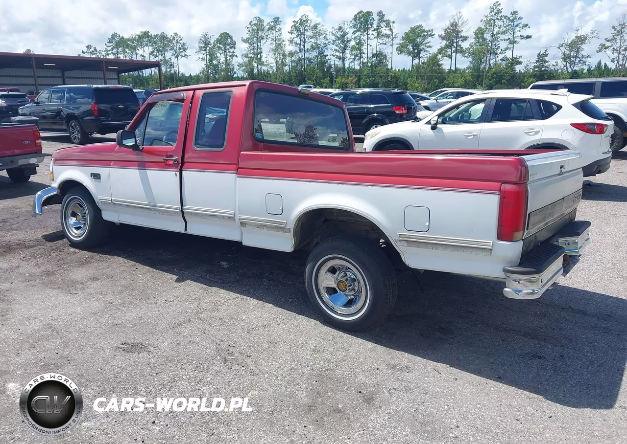 1992 Ford F150 VIN:1FTEX15N6NKA69332 - 3