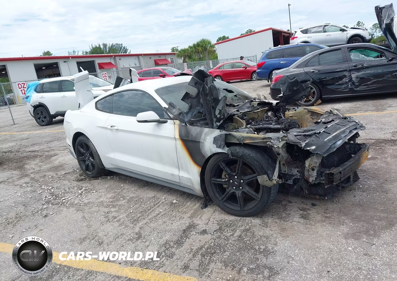 2019 Ford Mustang Ecoboost Premium VIN:1FA6P8THXK5105453 - 1