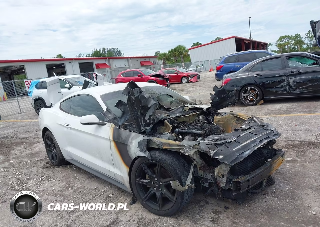 2019 Ford Mustang Ecoboost Premium VIN:1FA6P8THXK5105453 - 12