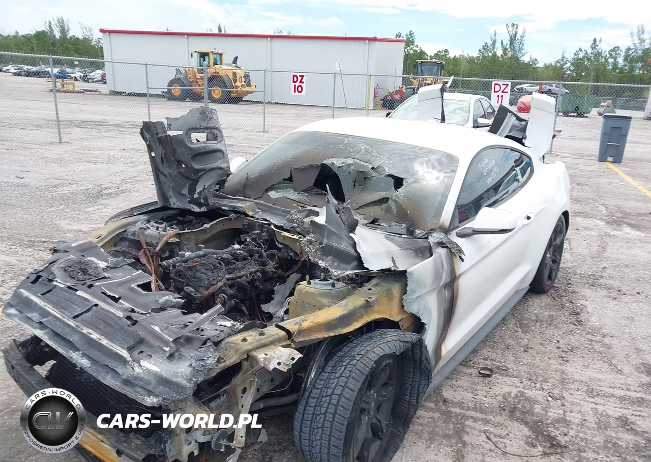 2019 Ford Mustang Ecoboost Premium VIN:1FA6P8THXK5105453 - 13