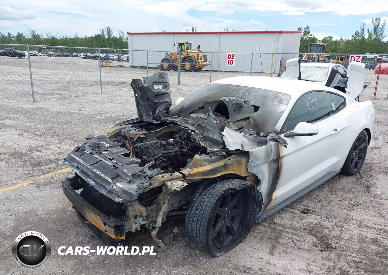 2019 Ford Mustang Ecoboost Premium VIN:1FA6P8THXK5105453 - 2
