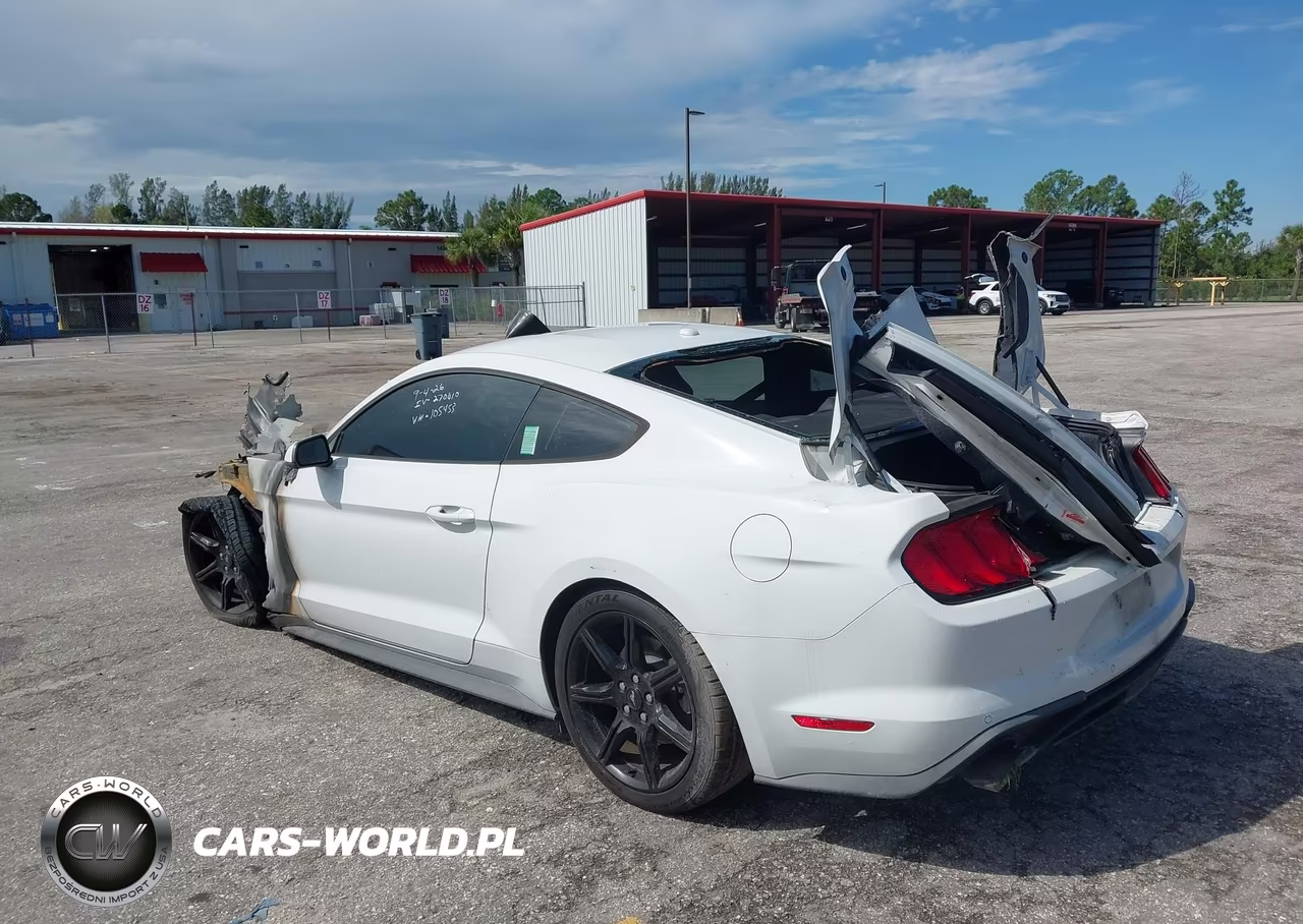 2019 Ford Mustang Ecoboost Premium VIN:1FA6P8THXK5105453 - 3