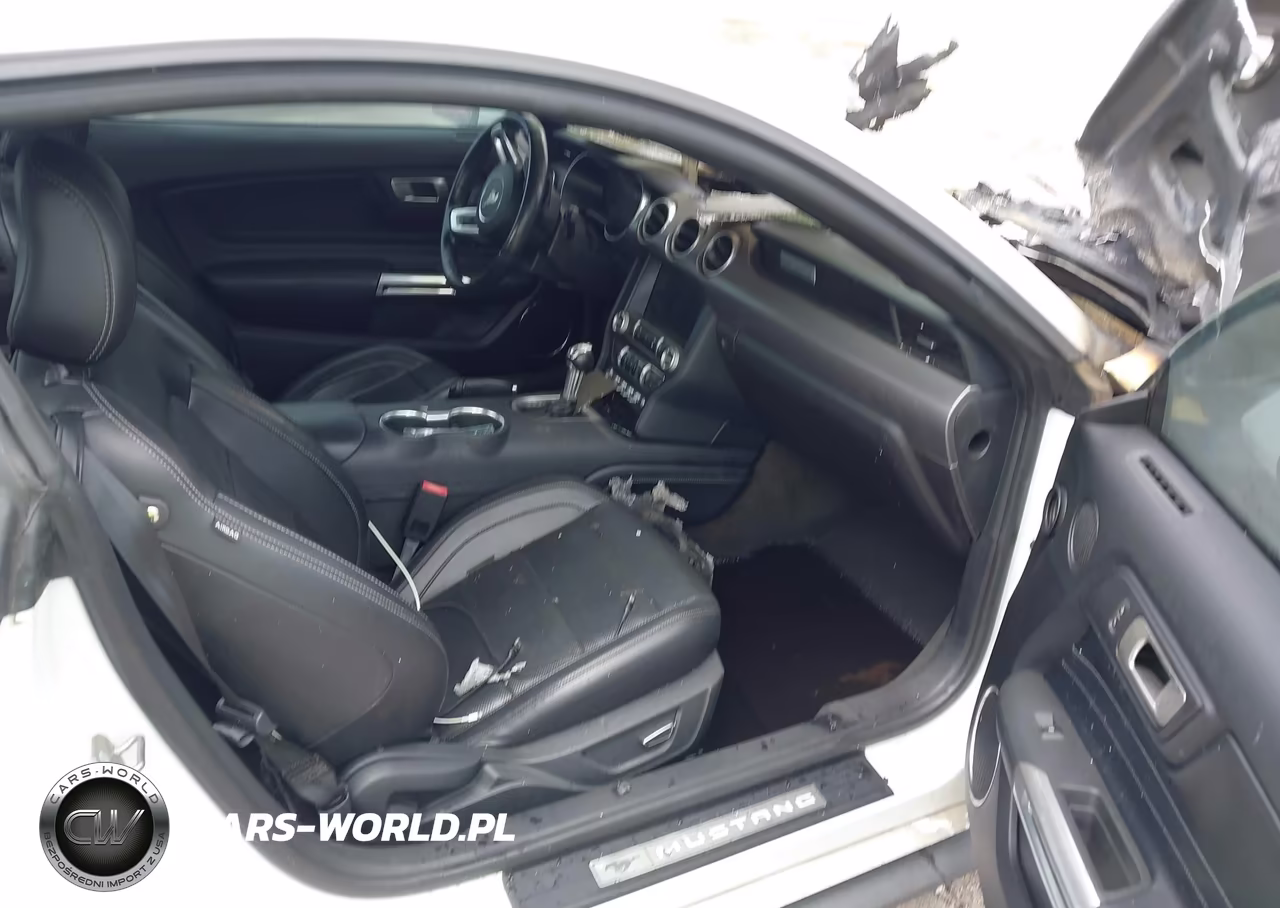 2019 Ford Mustang Ecoboost Premium VIN:1FA6P8THXK5105453 - 5