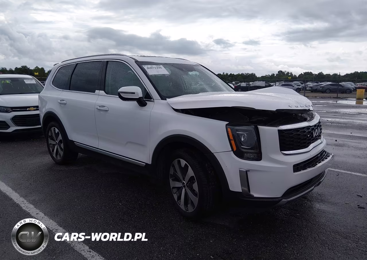 2022 Kia Telluride S VIN:5XYP6DHC2NG293551 - 1