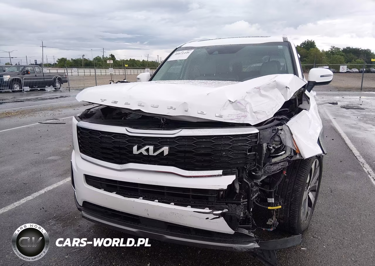 2022 Kia Telluride S VIN:5XYP6DHC2NG293551 - 12
