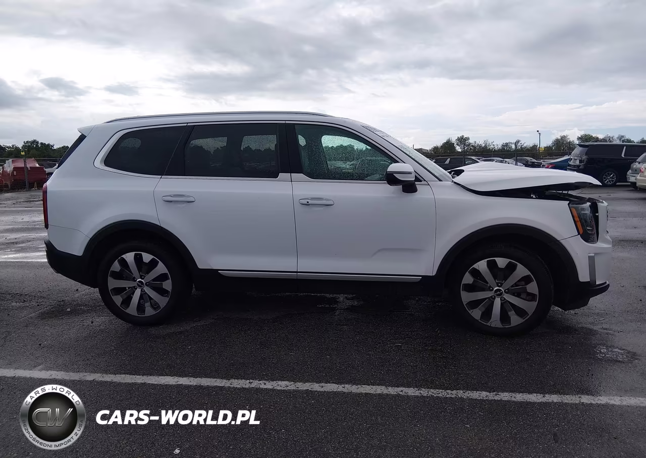 2022 Kia Telluride S VIN:5XYP6DHC2NG293551 - 13