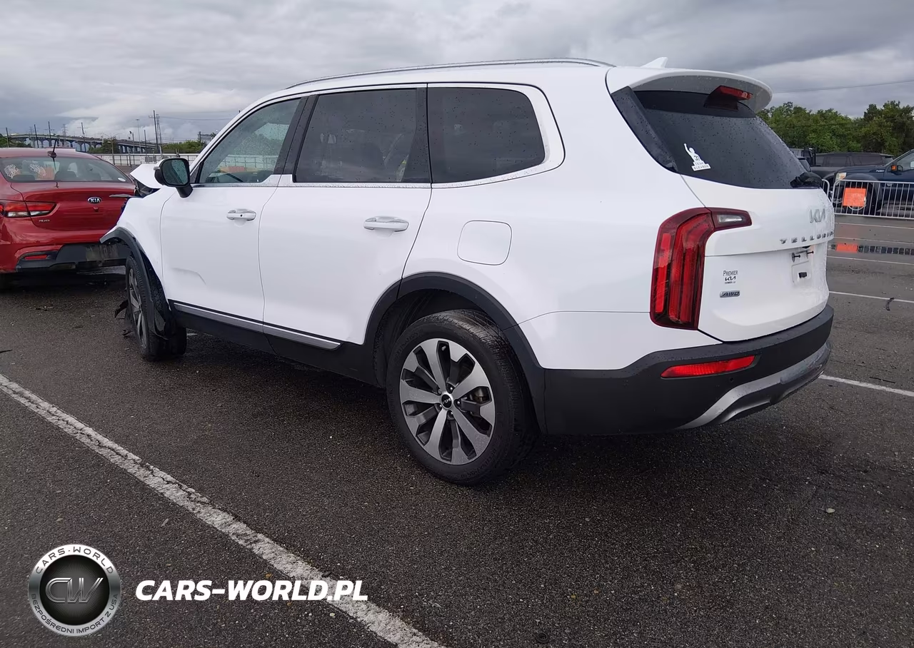 2022 Kia Telluride S VIN:5XYP6DHC2NG293551 - 3