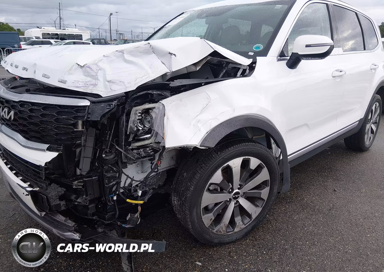 2022 Kia Telluride S VIN:5XYP6DHC2NG293551 - 6