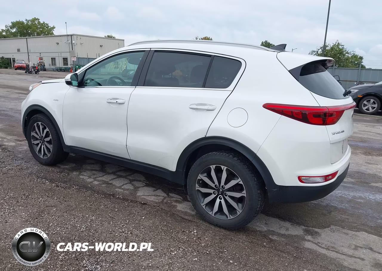 2017 Kia Sportage Ex VIN:KNDPNCAC6H7051001 - 3