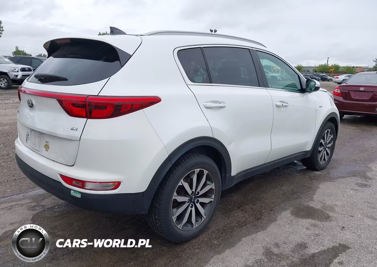2017 Kia Sportage Ex VIN:KNDPNCAC6H7051001 - 4