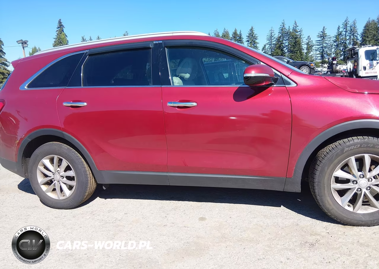 2017 Kia Sorento 3.3L Lx VIN:5XYPG4A58HG195203 - 13