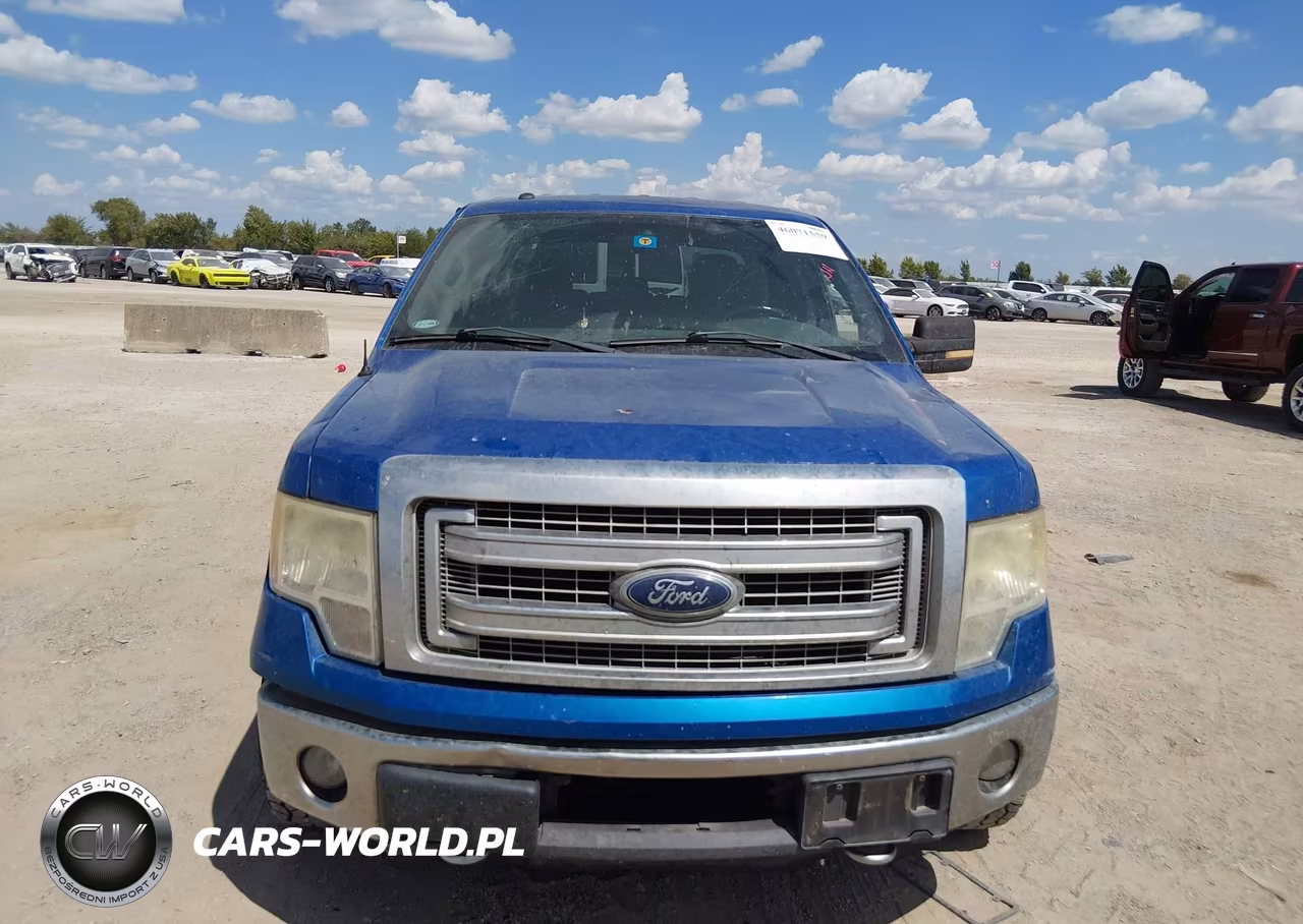 2013 Ford F-150 Xlt VIN:1FTFW1ET0DKG45470 - 12