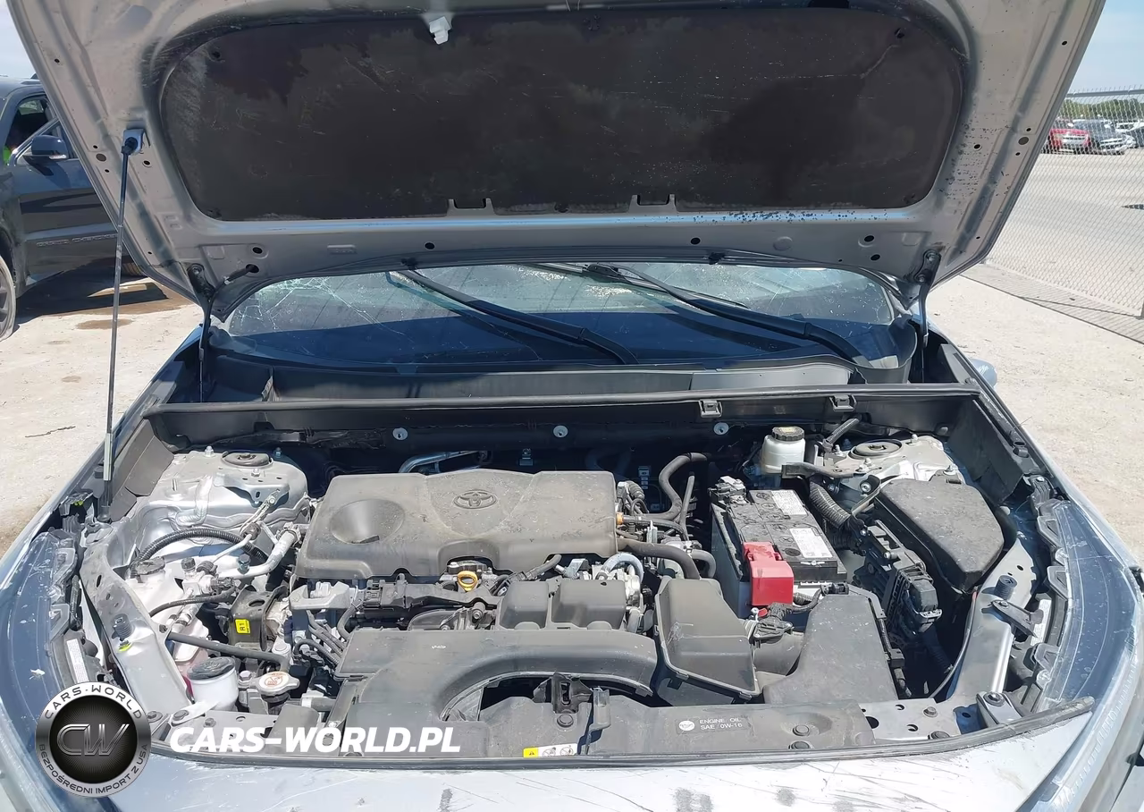 2023 Toyota Rav4 Xle VIN:2T3W1RFV0PC230935 - 10