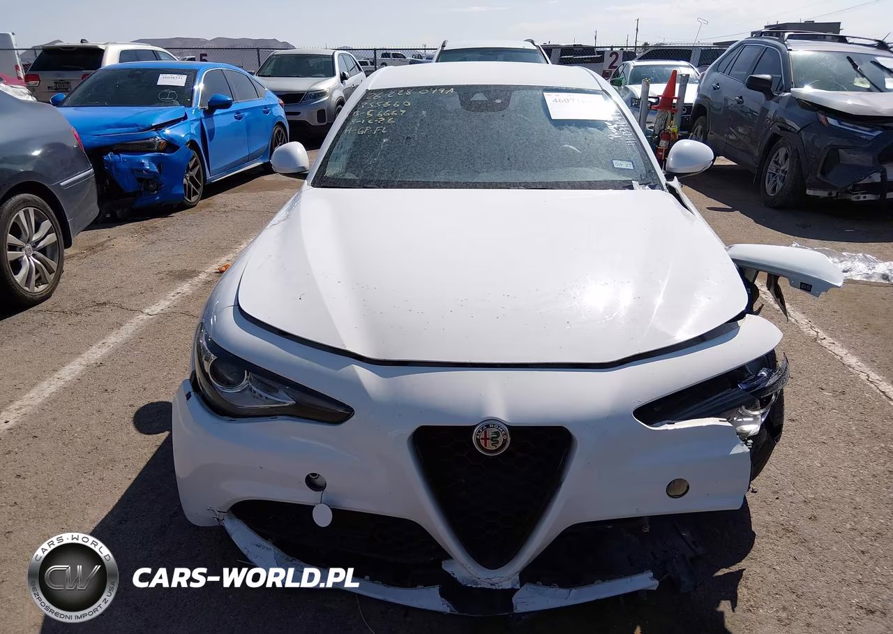 2020 Alfa Romeo Giulia Rwd VIN:ZARFAMAN0L7631521 - 12