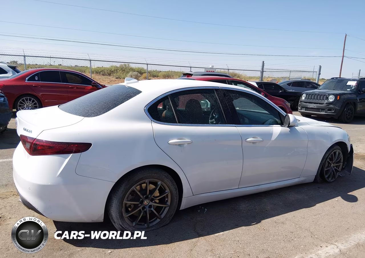 2020 Alfa Romeo Giulia Rwd VIN:ZARFAMAN0L7631521 - 13