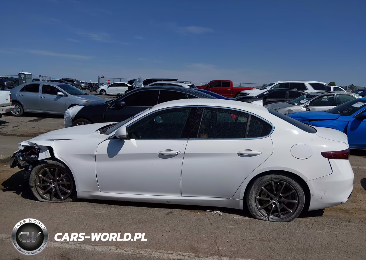 2020 Alfa Romeo Giulia Rwd VIN:ZARFAMAN0L7631521 - 14