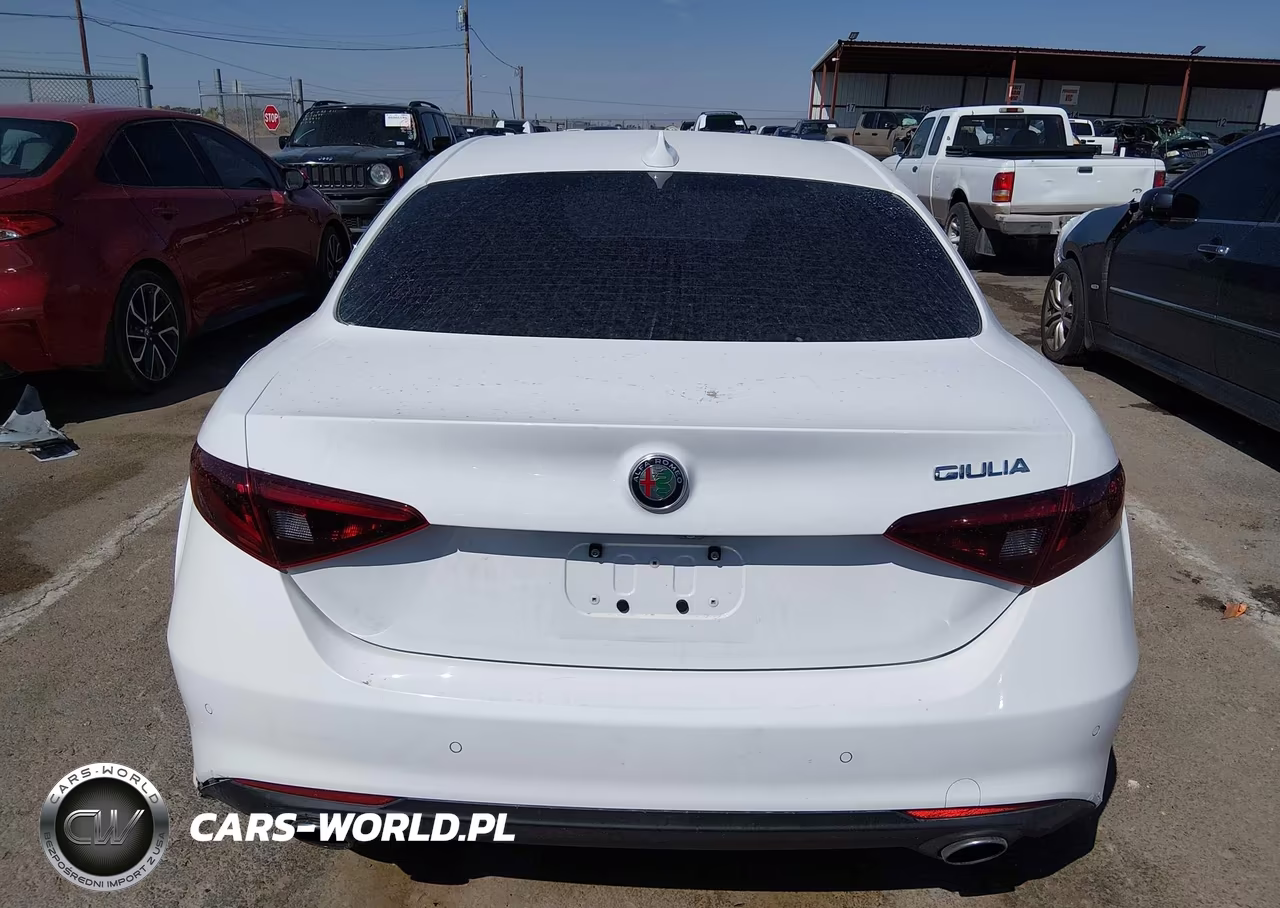 2020 Alfa Romeo Giulia Rwd VIN:ZARFAMAN0L7631521 - 16