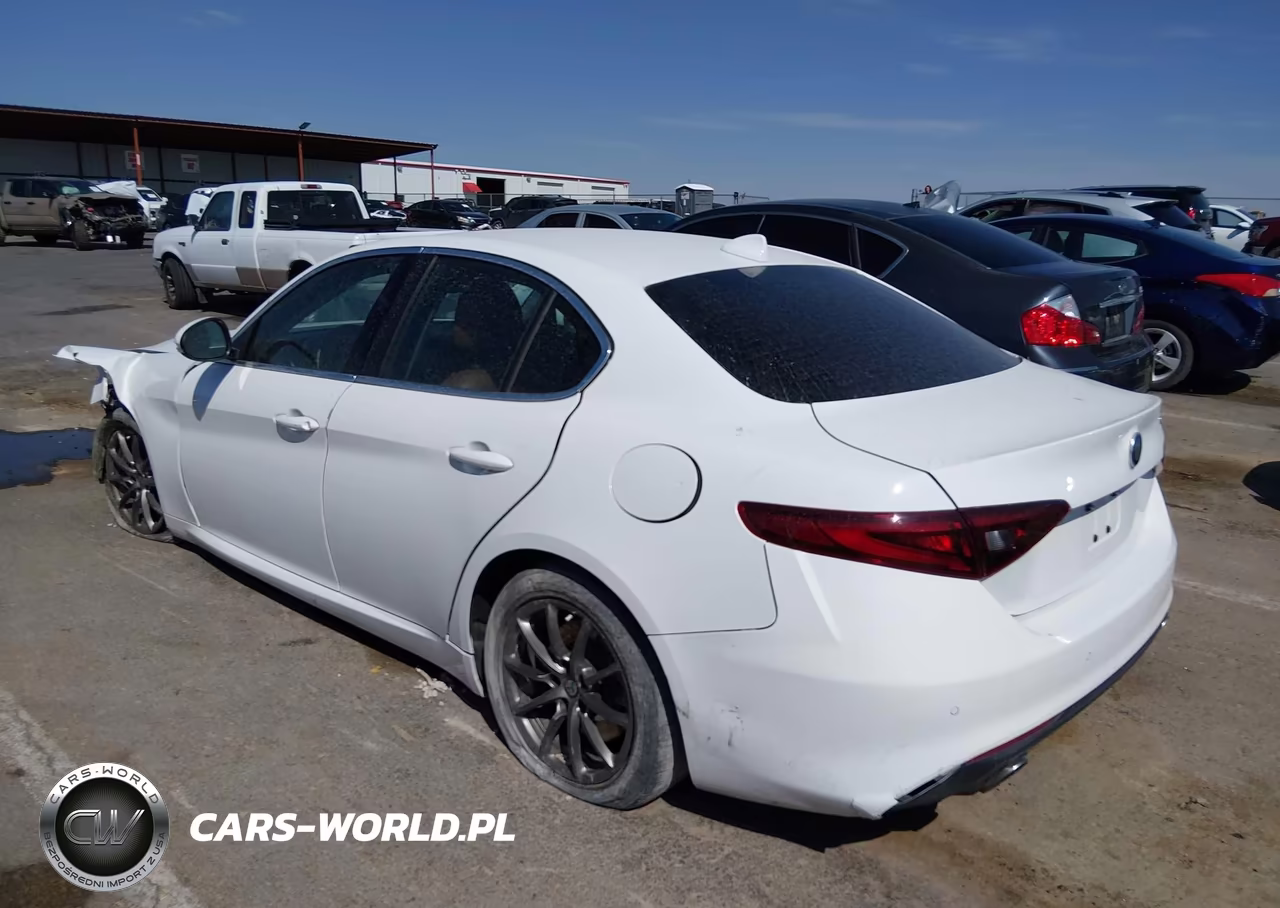 2020 Alfa Romeo Giulia Rwd VIN:ZARFAMAN0L7631521 - 3
