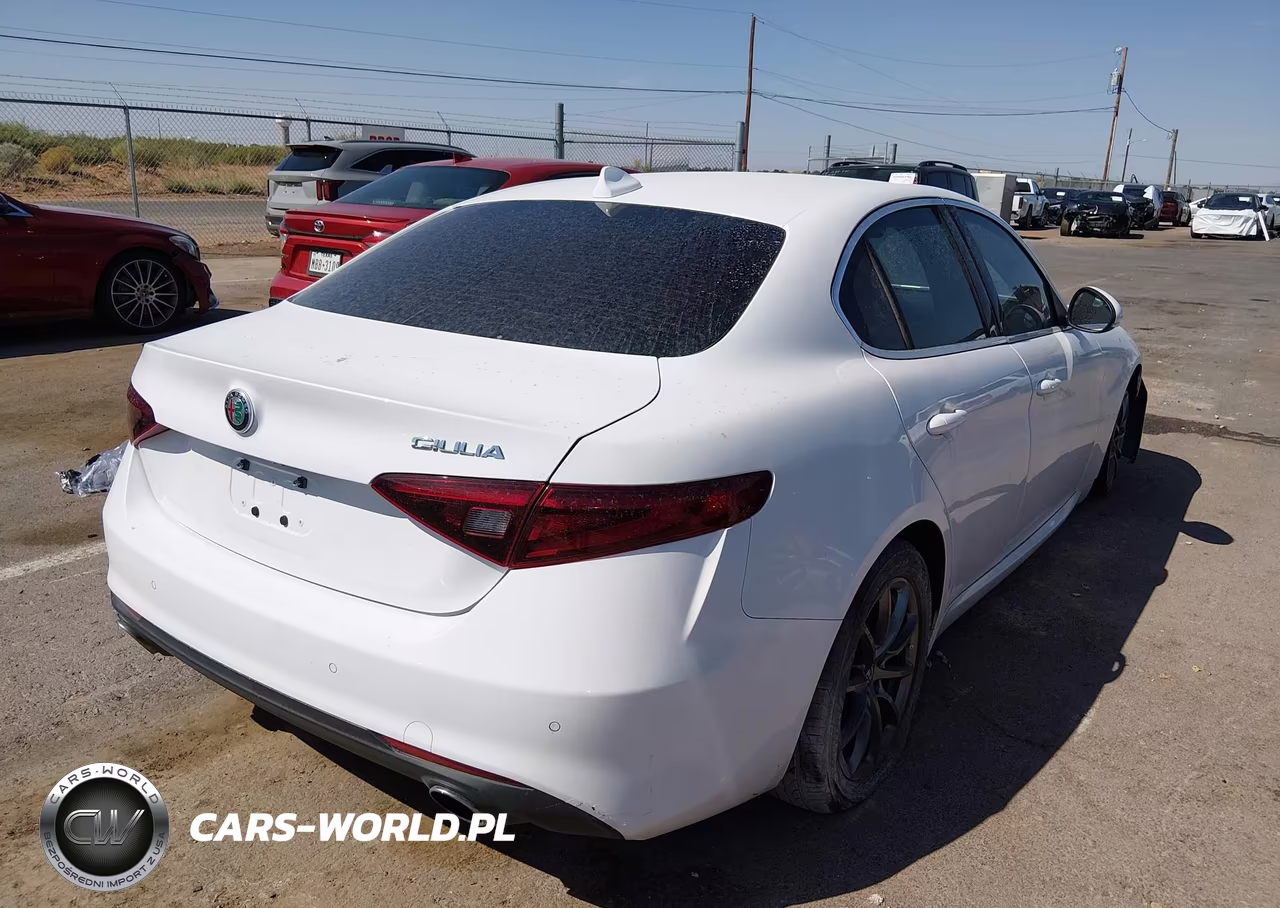 2020 Alfa Romeo Giulia Rwd VIN:ZARFAMAN0L7631521 - 4