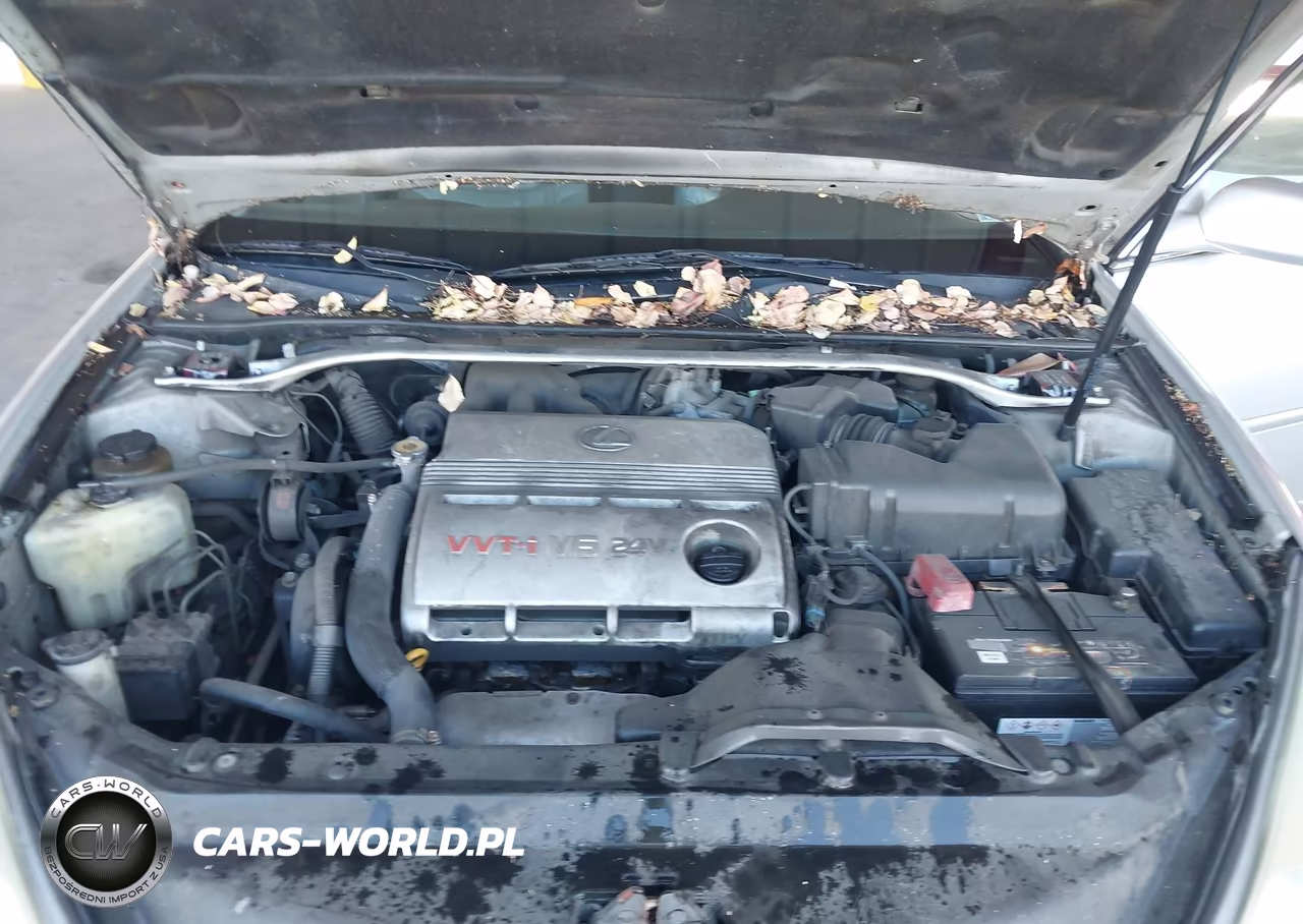2003 Lexus Es300 VIN:JTHBF30G030126819 - 10