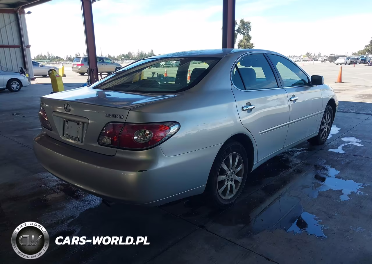 2003 Lexus Es300 VIN:JTHBF30G030126819 - 4
