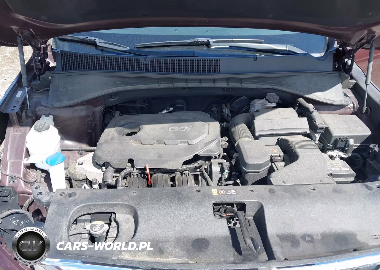 2019 Kia Sorento 2.4L Lx VIN:5XYPG4A37KG561142 - 10