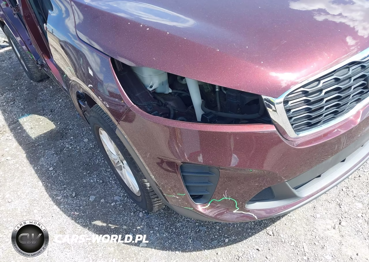2019 Kia Sorento 2.4L Lx VIN:5XYPG4A37KG561142 - 18