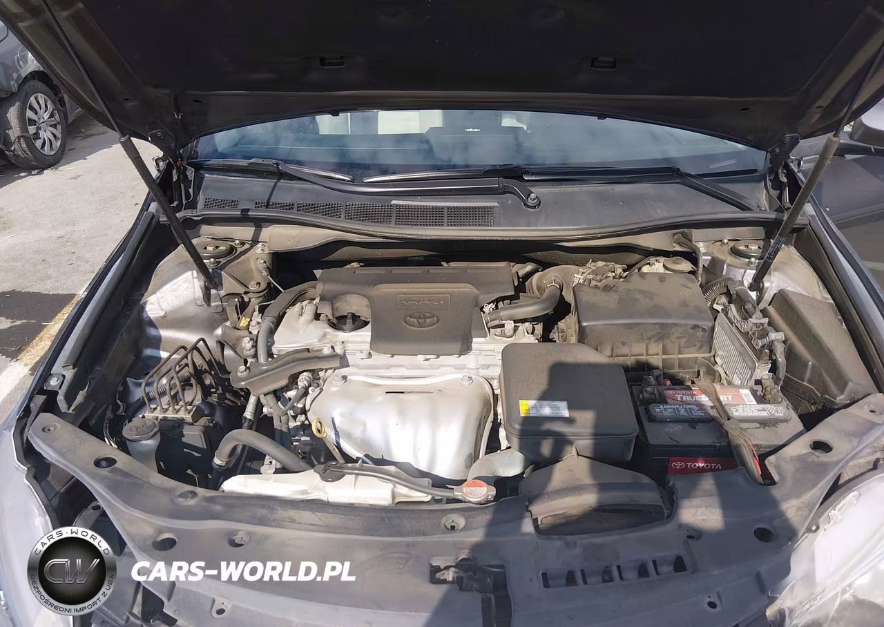 2016 Toyota Camry Le VIN:4T4BF1FK7GR565811 - 10