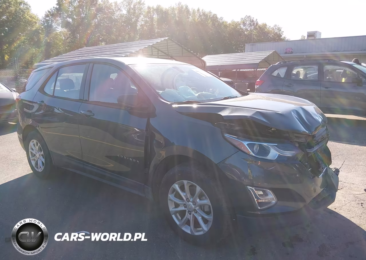 2018 Chevrolet Equinox Ls – zdjęcie 1 z 16