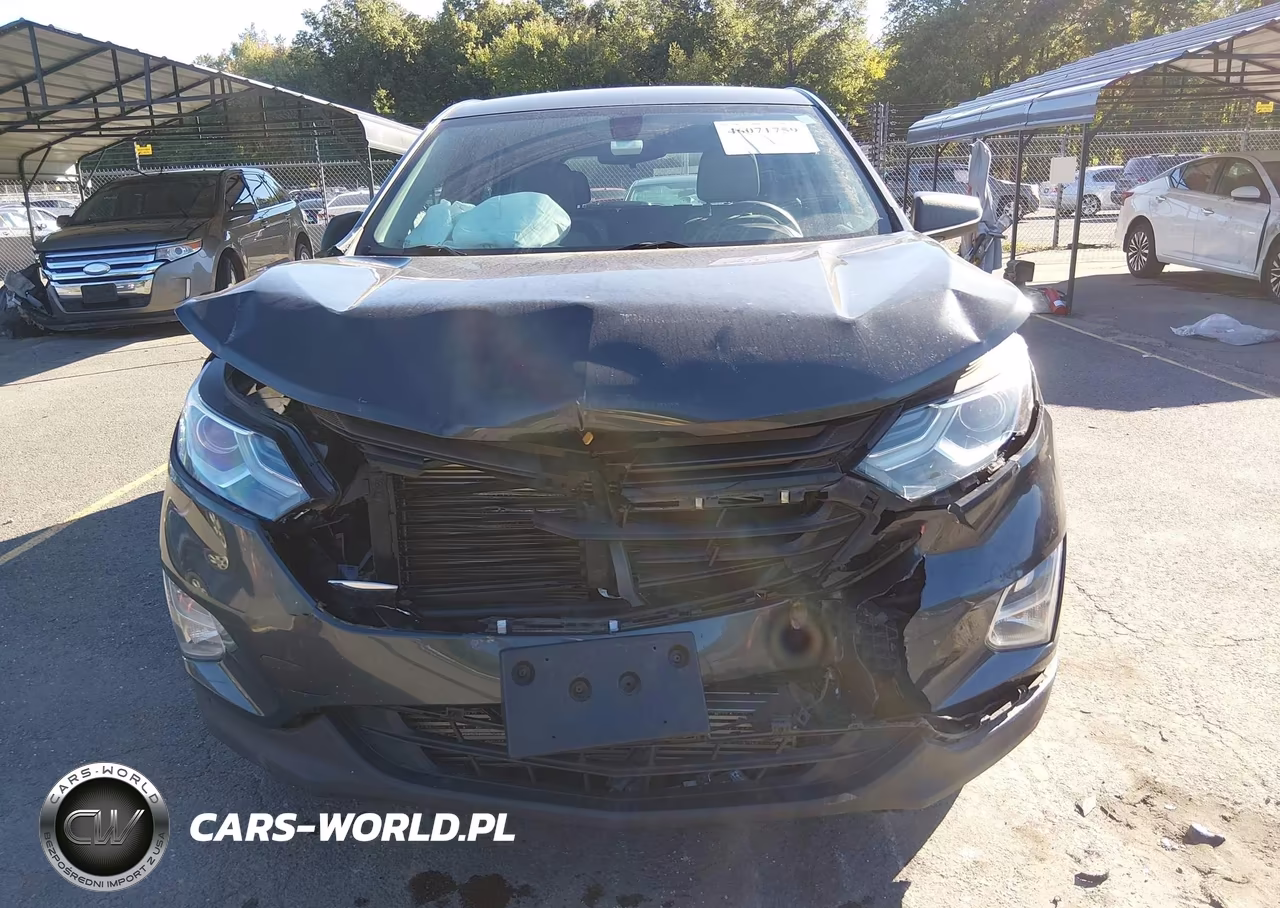 2018 Chevrolet Equinox Ls VIN:2GNAXREV4J6124197 - 12