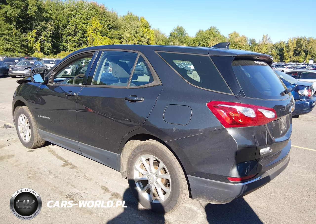 2018 Chevrolet Equinox Ls VIN:2GNAXREV4J6124197 - 3