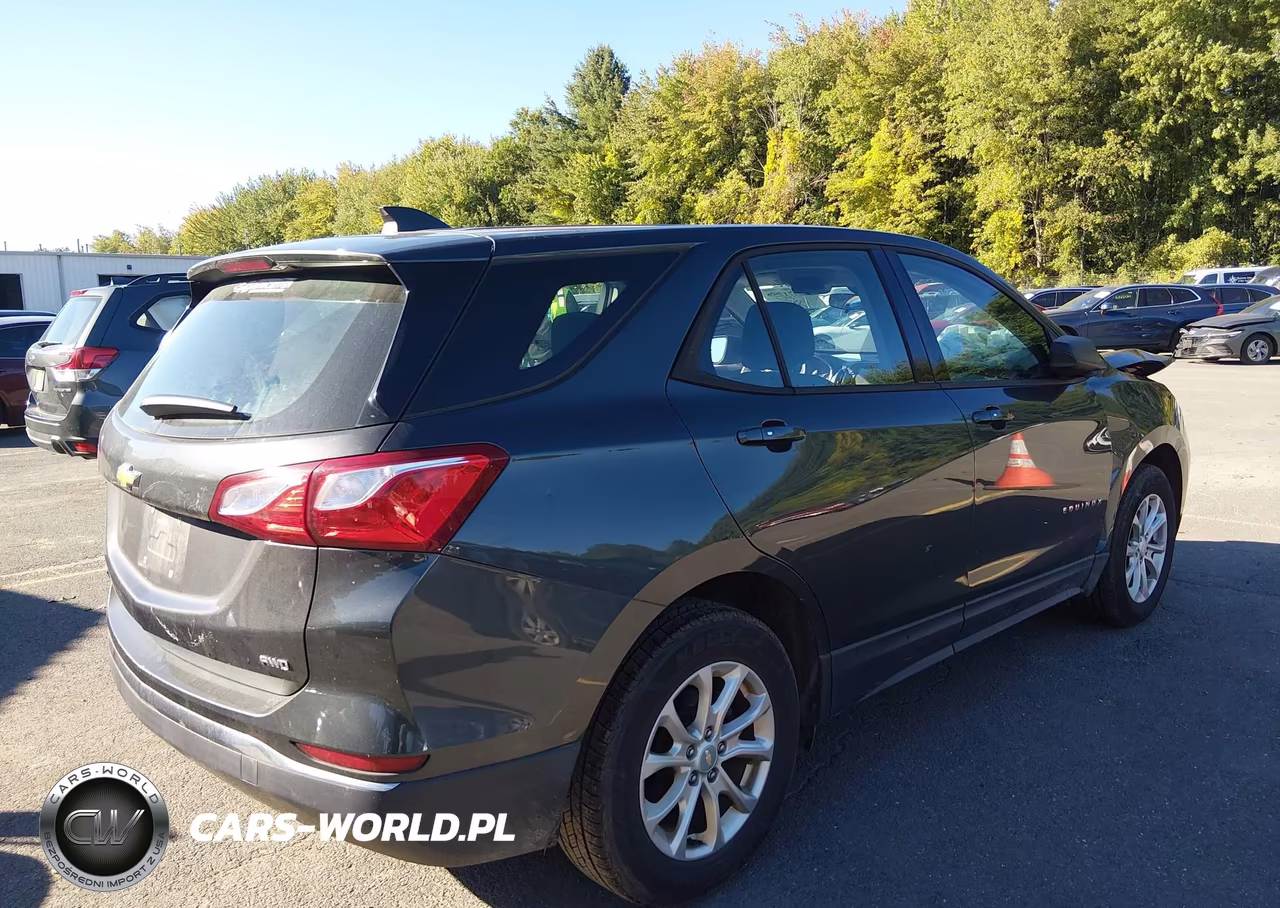 2018 Chevrolet Equinox Ls VIN:2GNAXREV4J6124197 - 4