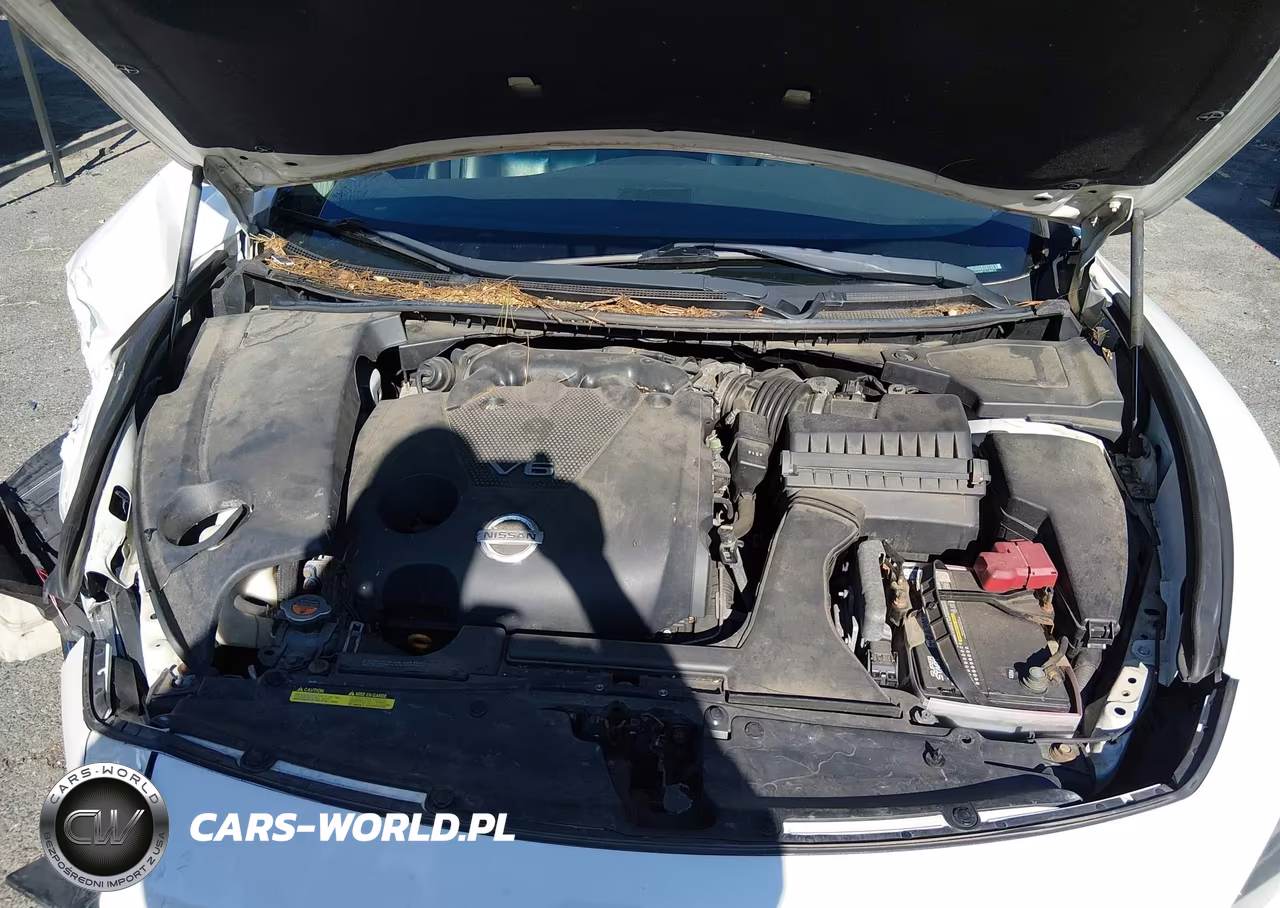 2014 Nissan Maxima 3.5 Sv VIN:1N4AA5AP7EC483573 - 10