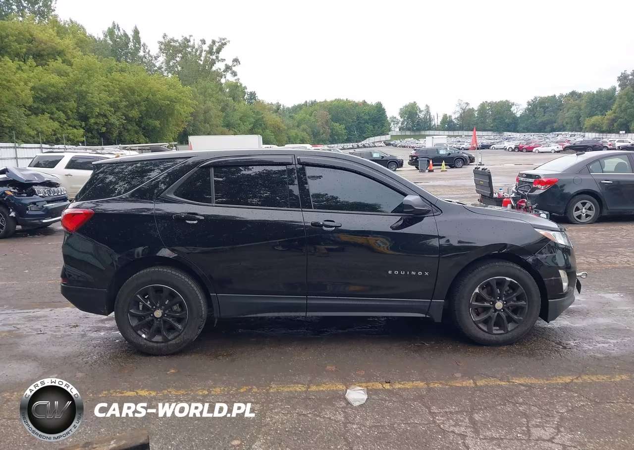 2019 Chevrolet Equinox Ls VIN:2GNAXSEV0K6269679 - 13