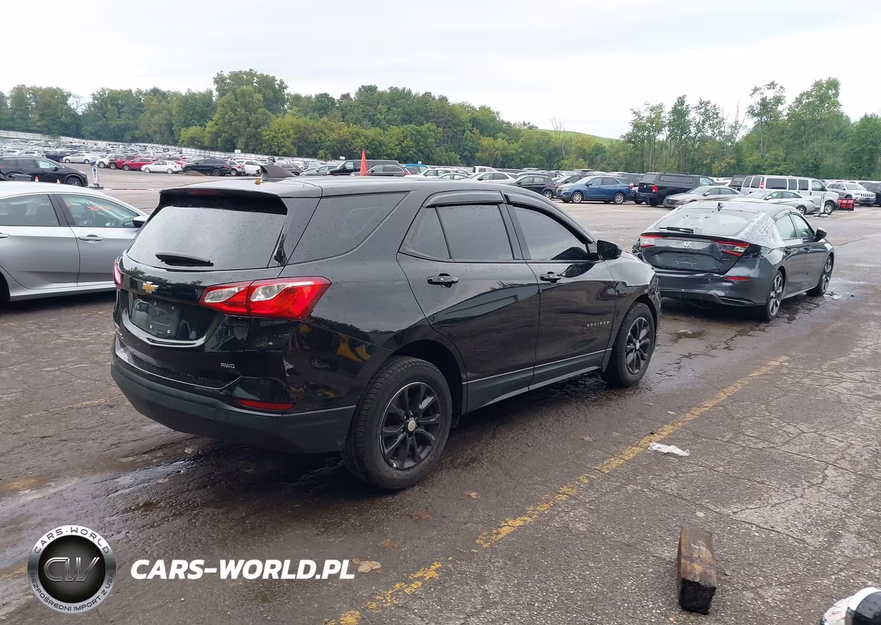 2019 Chevrolet Equinox Ls VIN:2GNAXSEV0K6269679 - 4