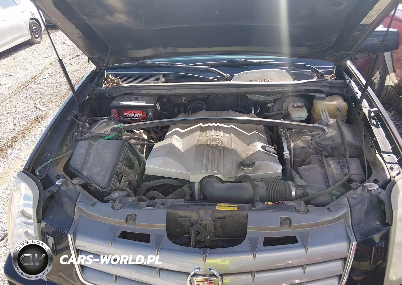 2004 Cadillac Srx V8 VIN:1GYEE63A740187896 - 10