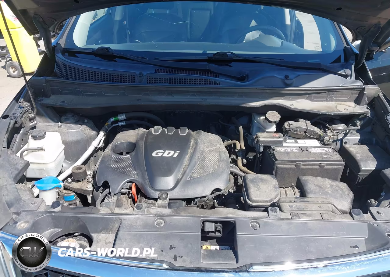 2014 Kia Sportage Ex VIN:KNDPC3AC5E7566542 - 10