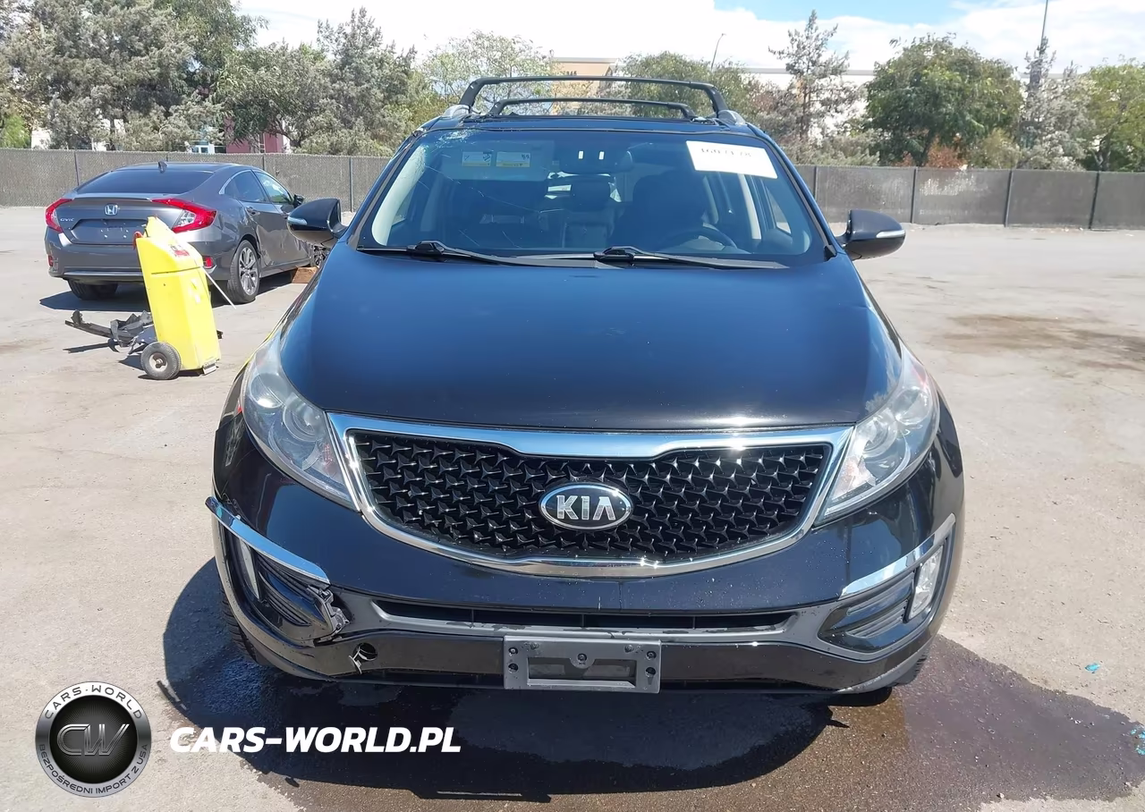 2014 Kia Sportage Ex VIN:KNDPC3AC5E7566542 - 12